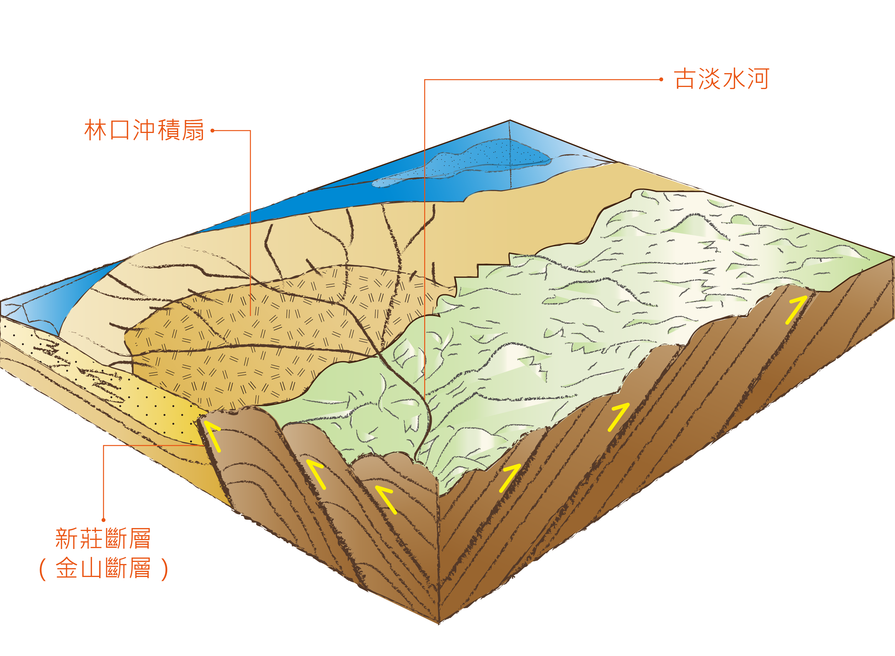 200萬年前《臺灣北部造山運動到達高峰》
