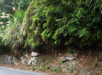 火山熔岩